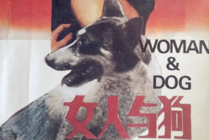 《女人与狗》全片免费高清在线观看-欧美电影《女人与狗》HD 1080P蓝光无卡顿免费播放-无广告无延迟流畅观影