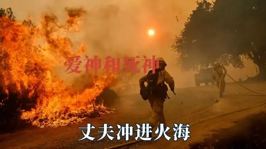 《爱神与死神》1080P未删减全集在线免费看 - 经典生死恋曲《爱神与死神》星辰影院热映 - 0费用0广告《爱神与死神》撕裂与治愈