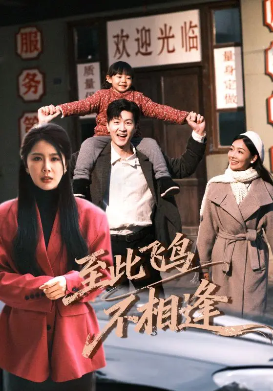 《至此飞鸟不相逢》全70集完整版-丁海霞王鹏主演无删减短剧-百度云网盘资源免费下载-4K超清在线观看