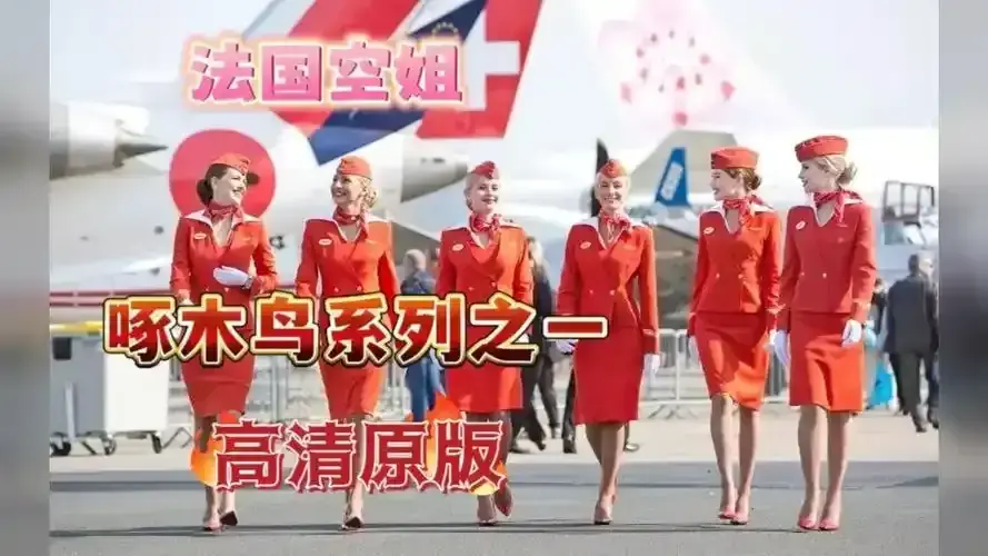 2024法版经典《法国空姐》原版无删国语配音上线 - 法国空姐电影正片，蓝光画质免费看
