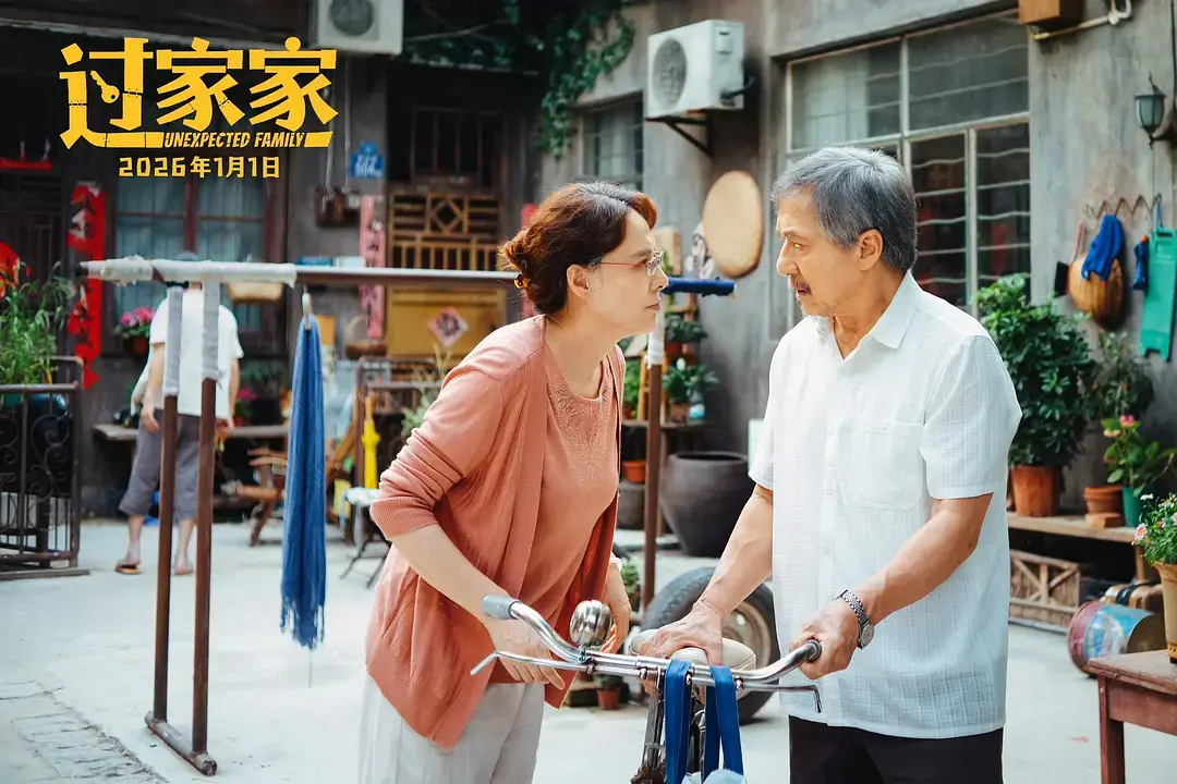 国产高分电影《过家家》2026最新-免费高清在线看全集-手机在线播放久播影院《过家家》完整版资源_VS影院