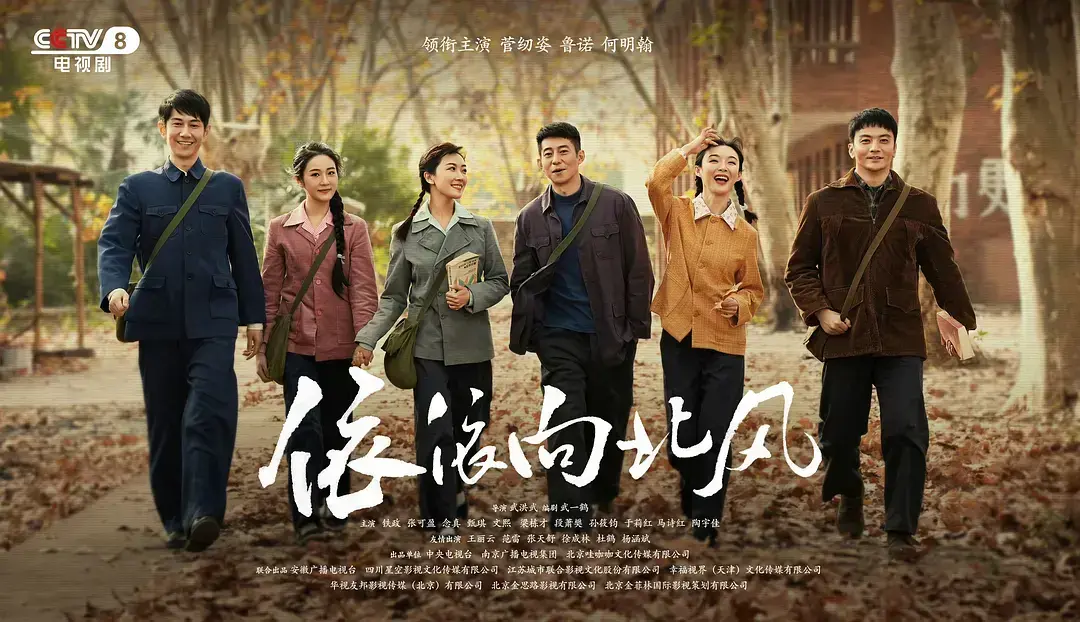 国产电视剧《依依向北风》全季免费在线看 - 依依向北风1080P高清无删减网盘资源 - 手机端完整版播放 - 大陆国产剧《依依向北风》全集无广告观看