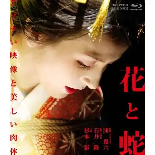 日本电影《花与蛇》HD高清无删减-日本剧情片《花与蛇》国语在线观看-《花与蛇》1080P网盘下载-星辰影院